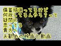 【備蓄なぜ必要？】そんな貴方へお勧めの映画と動画。