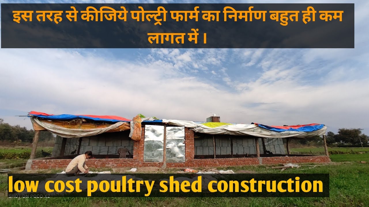 "कम खर्चे में Modern Poultry Farm Setup | Low Cost Poultry Farm Design 2025"