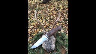 Разделка Сибирской косули Ножом ЛУЧ Разделка Сибирской косули Ножом ЛУЧ