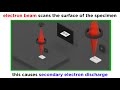 Unveiling the Microscopic World Through Electron Microscopy Techniques