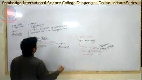 Pre-9th - [Science] - Lecture#3 - Muhammad Imran - CISC Online Lecture Series