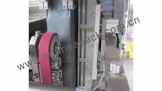 Automatic Quantitative Weighing and Packaging Machine