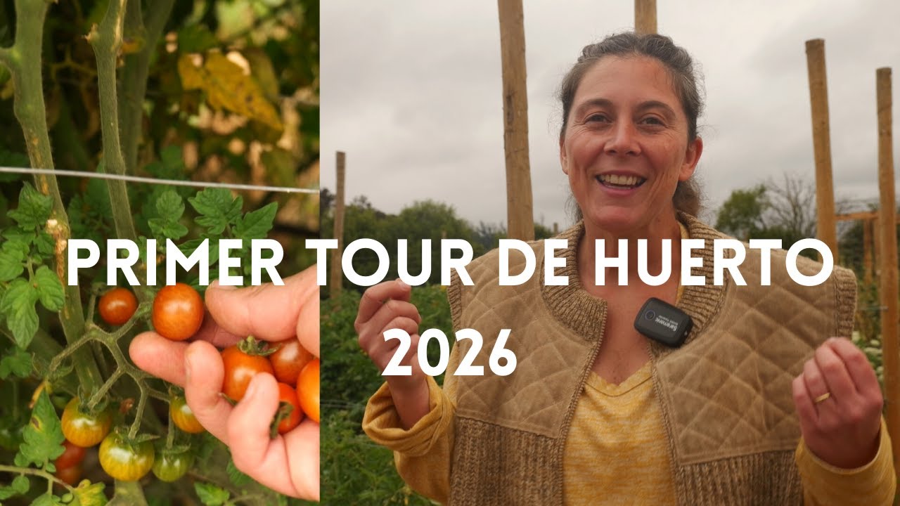 Primer tour de Huerto! Lo que va bien, lo que va mal y lo que va Pésimo |  Bienvenido 2026!