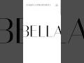 PORTFOLIO WEBSITE-Isabella Properties mobile version