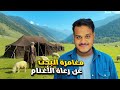 رحلة البحث عن رعاة الغنم في جبال كشمير 