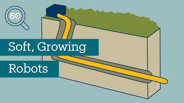 Research in 60 Seconds | Developing a Soft Robot That Grows