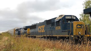 RARE Lashup On Q348: CSX SD50 & CM44 on the same train! (Switching action)