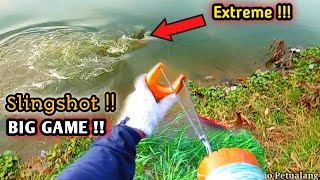 Extreme!!! Like Pulling a Crocodile Hunting a Lizard The Size of a Komodo Dragon Using a Slingshot