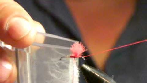 CDC Midge by Iwan van den Berg