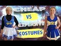 Cheap vs  Expensive Halloween Costumes