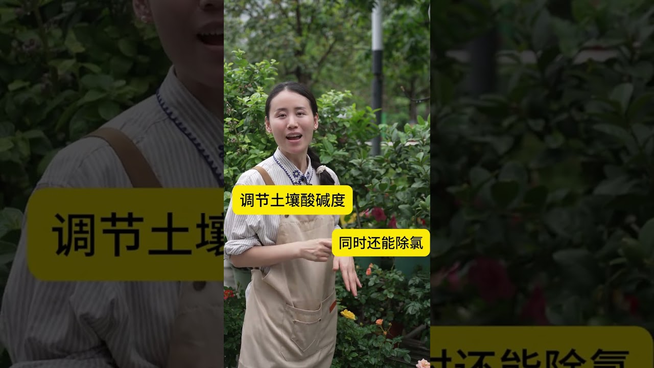 檸檬樹三步搶救法，趕緊來學#檸檬樹苗 #檸檬樹 #花卉綠植 #養花小知識 #養花我是認真的