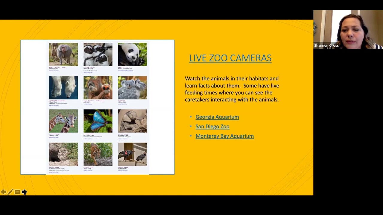 Distance Learning Resources for Working Parents YouTube