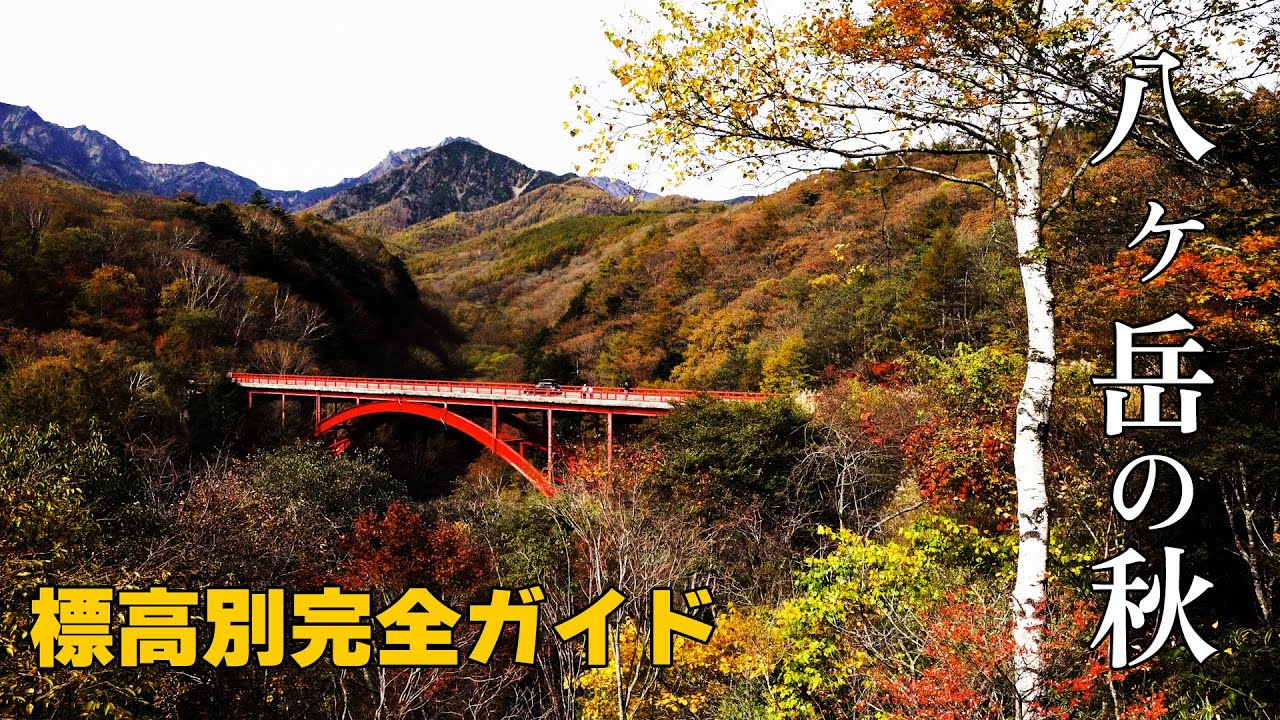 見逃せない！八ヶ岳の絶景紅葉スポット5選 | Unmissable! 5 Stunning Autumn Foliage Spots in Yatsugatake
