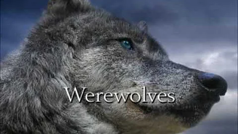 Primal Needs Susan Sizemore Book Trailer