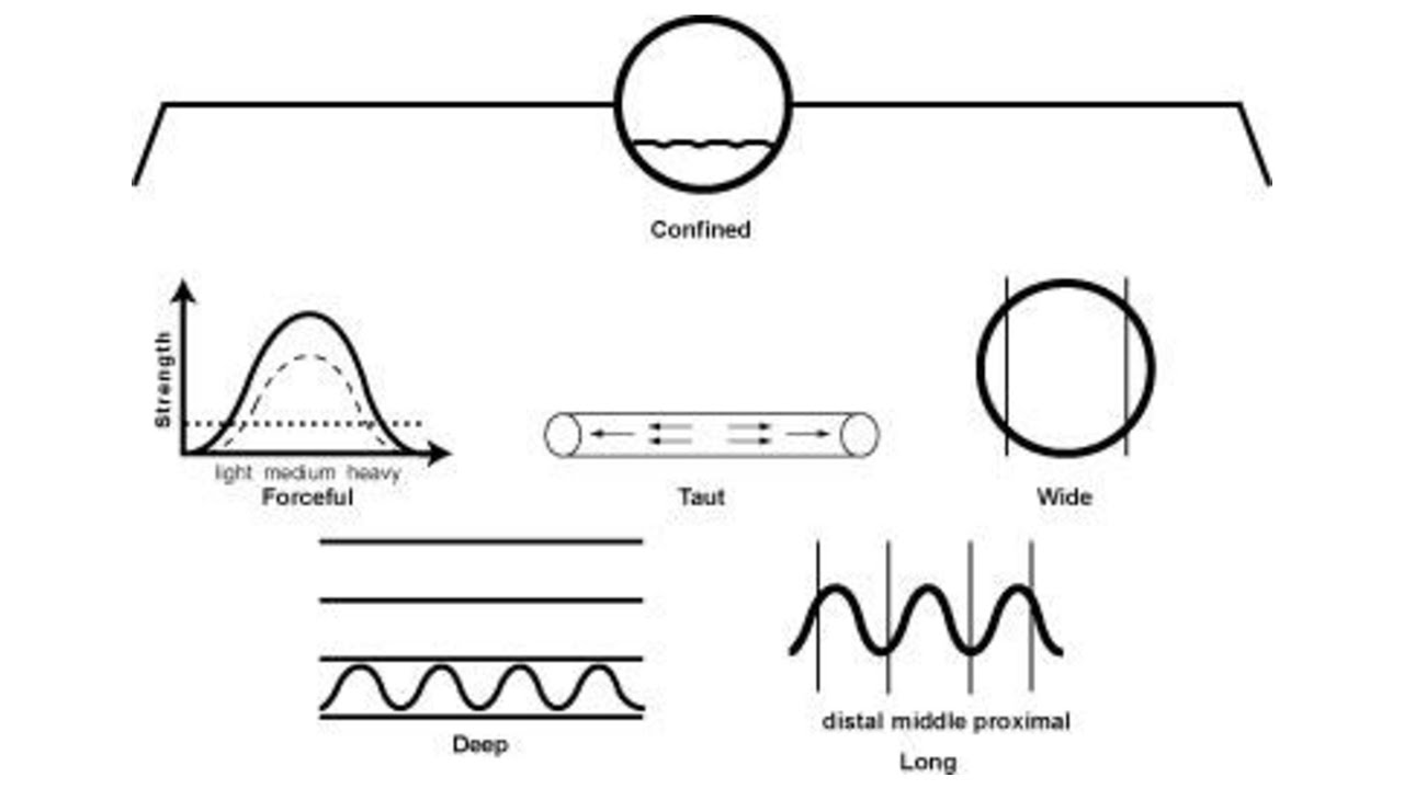 CLINICAL SIGNIFICANCE OF FIRM PULSE (CONFINED, LAO MAI) IN CHINESE MEDICINE