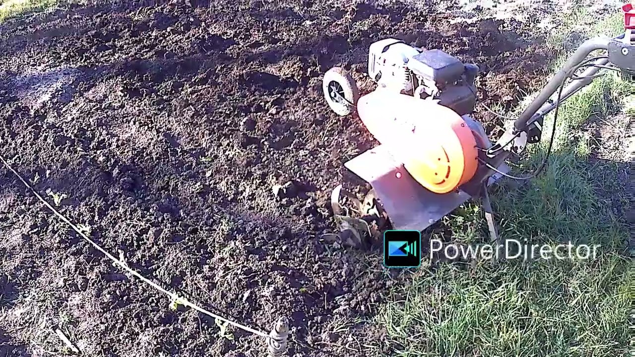 Jardiner début mars