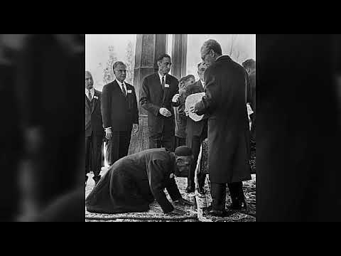 درباره ی بهزاد نبوی سخنرانی علی عبدالرضایی