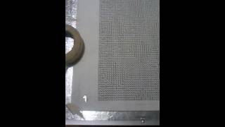 THE ENDLESS MAZE
