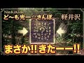 自然が豊かだと、沢山の動物に出会えます❤軽井沢🍀NinKiKids ど~も光一☆さんぽ