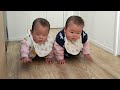 【一卵性双生児】はいはい練習頑張りました。