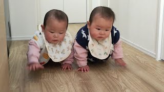 【一卵性双生児】はいはい練習頑張りました。