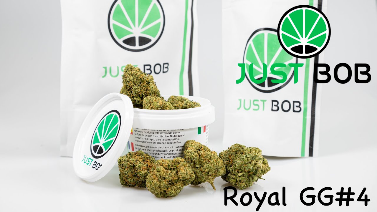Royal GG#4 CBD - Marihuana Deutschland - JustBob [Deutsch]