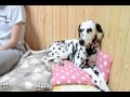 それぞれの甘え方