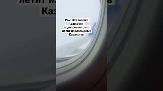 Мошка, которая летит из Мальдив в Казахстан