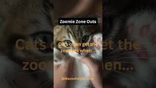 Zoomie Zone Outs