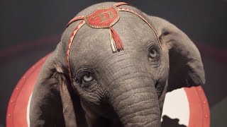 竹内まりやが歌い山下達郎がコーラス！／映画『ダンボ』日本版エンドソングMV
