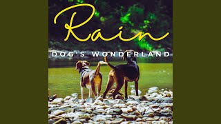 Rainfall Tail-Wagging Symphony