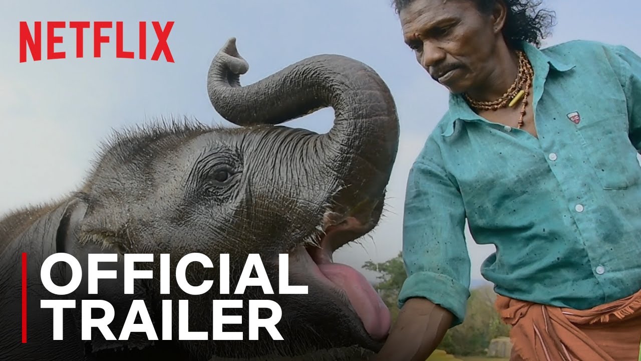 ⁣The Elephant Whisperers | Official Trailer | Netflix India