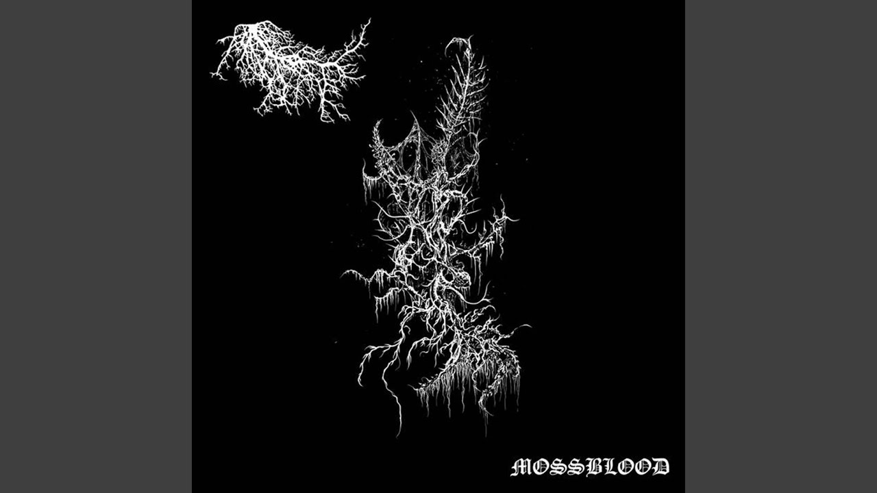 Watch Hyphae on YouTube Watch Hyphae on YouTube