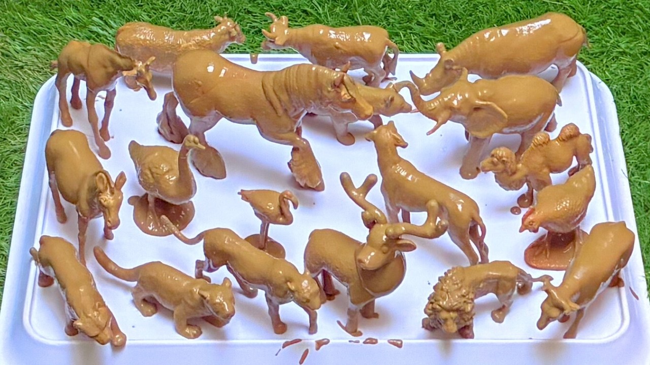 A Joyful Discovery with Farm Friends & Forest Animals | Fun Learning Adventure 🐄🌳