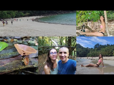 Video: Cea mai bună perioadă pentru a vizita Costa Rica