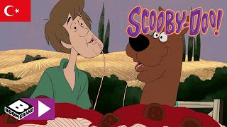 Boomerang Anlari Scooby Yemek Partisinde Boomerang Tv Türkiye