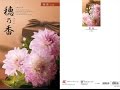 カタログギフト 穂乃香 紫苑 5,600円コースPart.1：お香典返しや弔事法要引き出物におすすめ