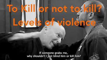 Levels of violence - Why Ninjutsu is a mature system? - Yossi Sheriff, AKBAN