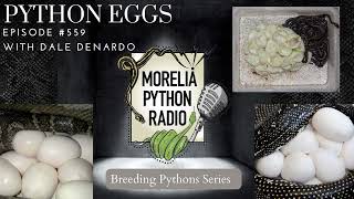 Python Eggs & Incubation with Dale DeNardo.