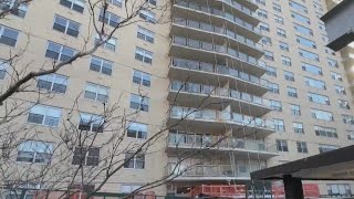 3 shot, 2 killed inside Bronx apartment building: NYPD