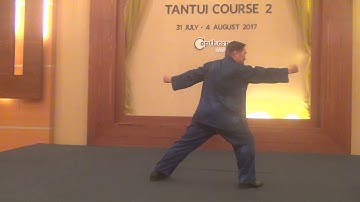 Shaolin Tantui Sequence 8 -- Thrust Kick