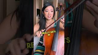 How To Properly Rosin Cello Bow!
