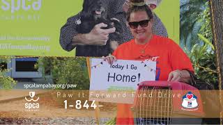 Bank OZK is PAWING IT FORWARD with SPCA Tampa Bay
