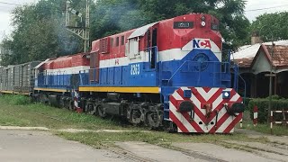 Tren vacío de NCA Rumbo a Villa María con la ALCO  8263 / GT22  9095
