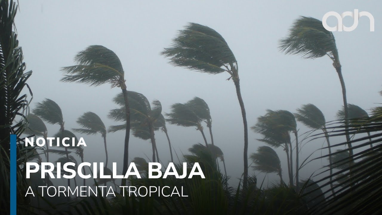 Huracán Priscilla se degrada a tormenta tropical, pero deja autos varados y árboles caídos