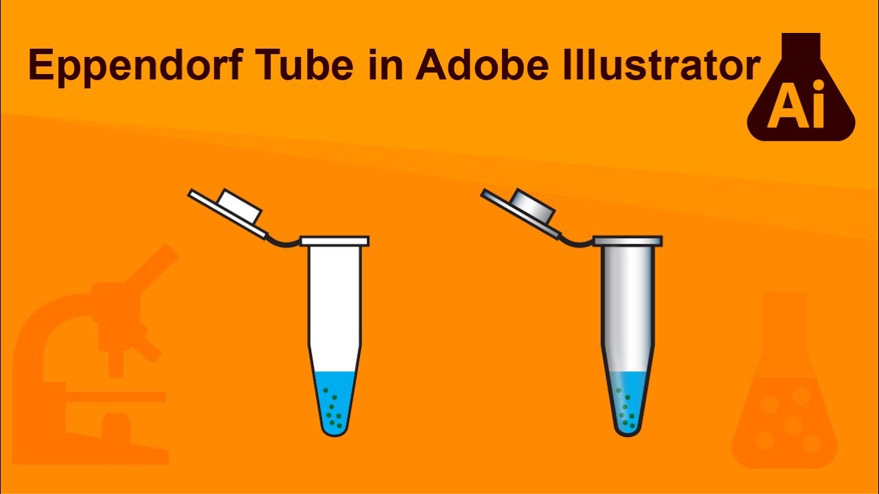 Drawing an Eppendorf Tube in Adobe Illustrator YouTube