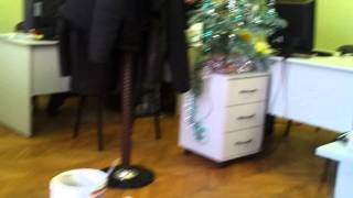 20120201_100554.mp4