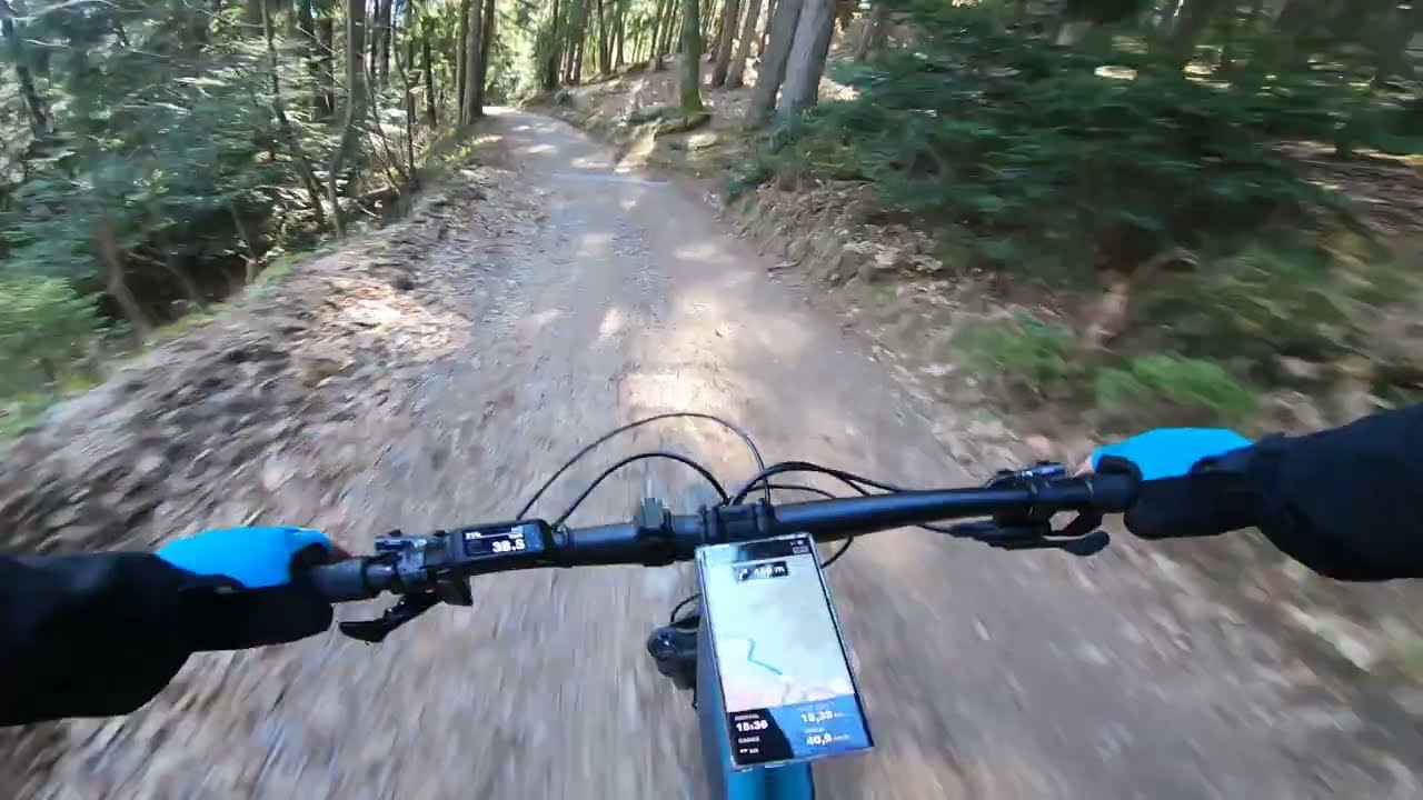 Koča na Žavcarjevem Vrhu-Bresternica MTB spust