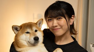 【柴犬が乱入】山崎あおい YouTube LIVE  #6