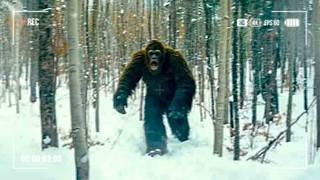 Expedition Bigfoot Crew EVACUATED After This TERRIFYING Discovery